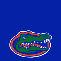 Vote Early University Of Florida GIF by Creative Courage
