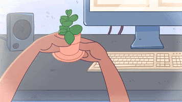 Work From Home Plant GIF by ListenMiCaribbean