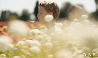 Cannes Film Festival Lukas Dhont GIF by Madman Films