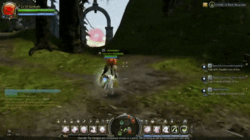 satohnguyen dragonnest GIF