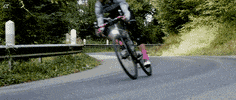 france cycling GIF