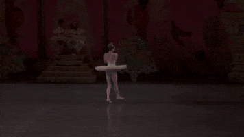 nutcracker sugarplum GIF by New York City Ballet