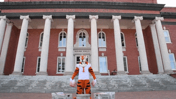 tigertownbound acceptance packets GIF by Clemson University