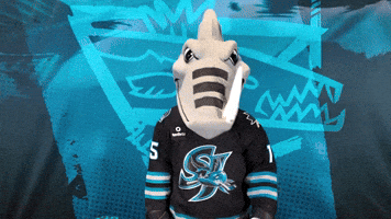 San Jose Yes GIF by San Jose Barracuda