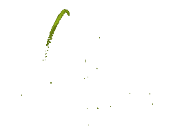 Green Sticker