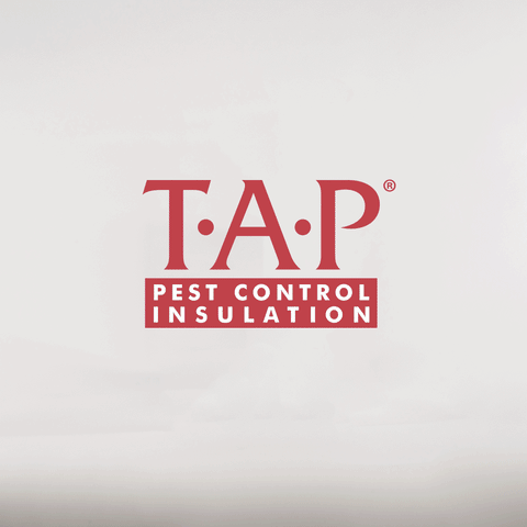Tap Pest Control GIF