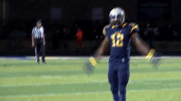 make some noise football GIF by Marian University