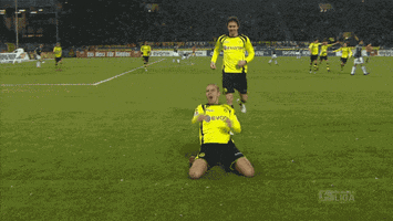 bundesliga zidan GIF by Borussia Dortmund