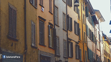 lukaszdybalski  GIF