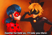 Ladybug And Chat Noir Gifs Get The Best Gif On Giphy