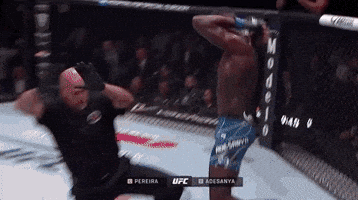 Sport GIF by UFC