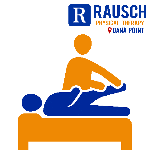Pt Danapoint Sticker by Rausch Physical Therapy - Dana Point