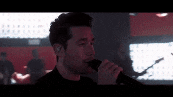 tammy  GIF
