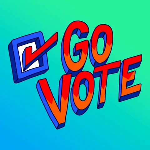 Voting Super Tuesday GIF