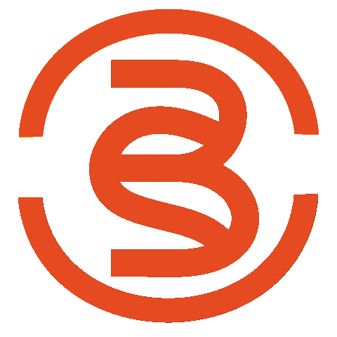 Bsc Sticker by Burning Stick Creative