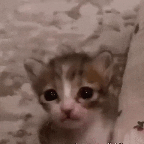 Almost Cry GIF