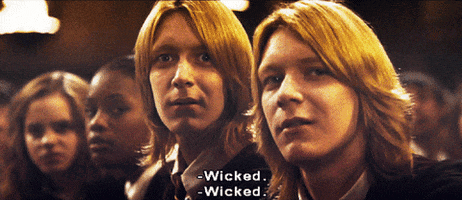 Harry Potter Gingers GIF