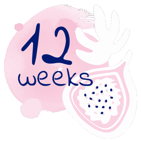 Momtobe Trimester Sticker by sanosancosmetic