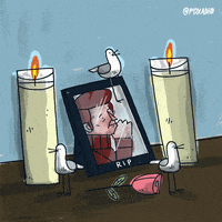200.gif?cid=fc005b086fa57b77903214c517233c3765cf4dc2c4df0372&rid=200.gif&ct=g