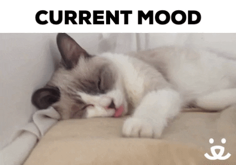 Best Friends Reaction GIF by Best Friends Animal Society by bestfriends