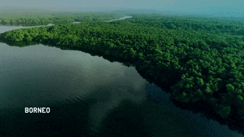 discovery channel drone GIF by Discovery Europe