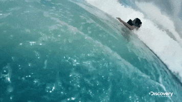 discovery channel wave GIF by Discovery Europe