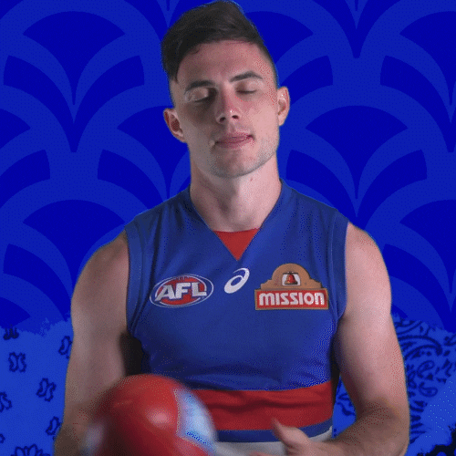 Aussie Rules Football Dogs GIF by Western Bulldogs