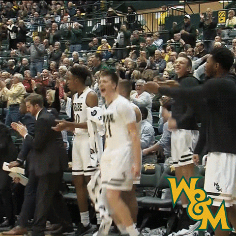 william and mary basketball w&amp;m GIF by William & Mary