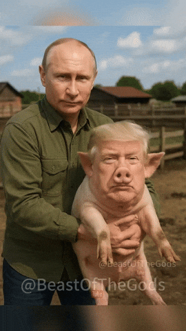 Trump GIF