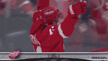 Happy Red Wings GIF by NHL