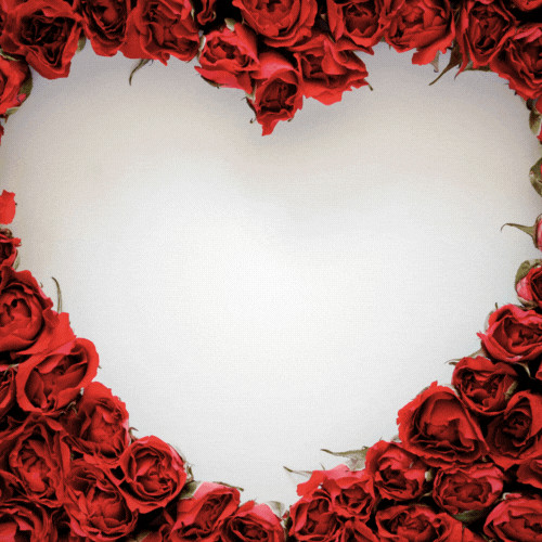 St Valentines Day Love GIF