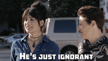 idiot take one thing off GIF by Scout Durwood
