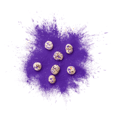 Holi Festival India Sticker by Bohana