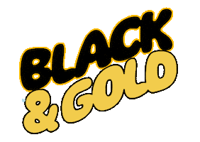 Black And Gold College Sticker by Towson University