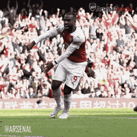 Premier League Yes Gif By Arsenal Find Share On Giphy