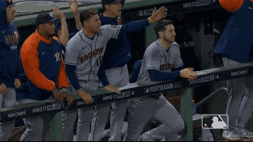 Houston Astros Celebration GIF by MLB