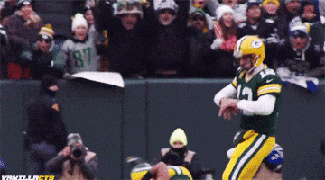 green bay packers nfl GIF