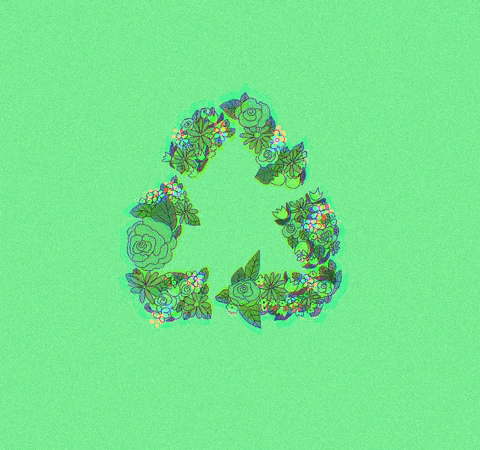 Giphy