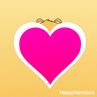 hamster love GIF by AM by Andre Martin