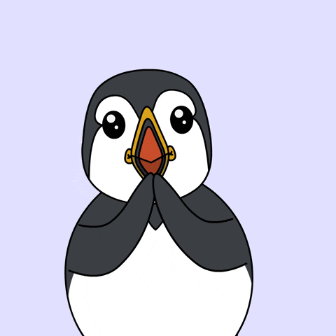 Puffins GIF