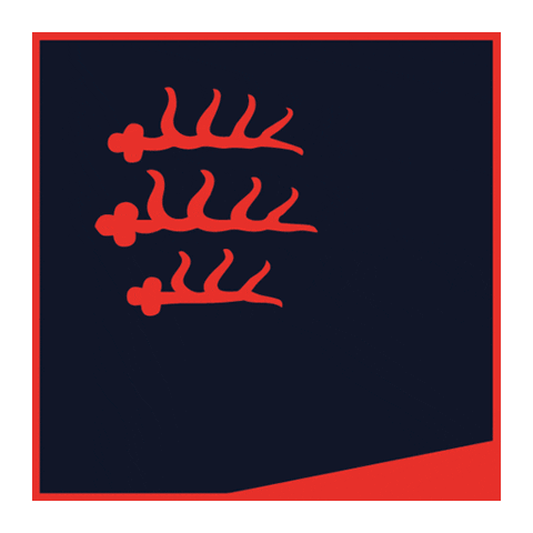 Cycling Stuttgart Sticker by kesseln.cc