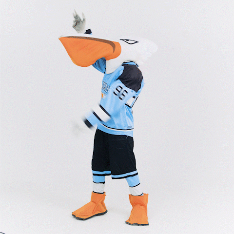 Dance Mascot GIF by Pelicans Lahti