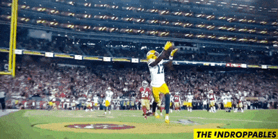 Davante Adams Packers GIF by The Undroppables