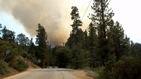 Big Bear Wildfire Stands at 50 Percent Contained