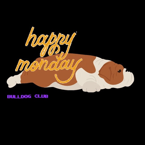 Happy Dog GIF by bulldogclub