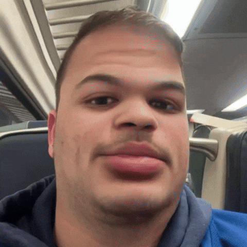 Hamburglerss GIF