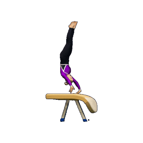 Teamgym Sticker by Seinäjoenvoimistelijat