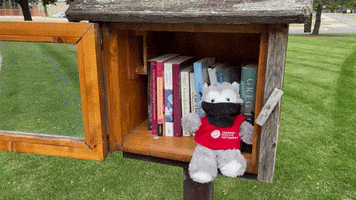 Wolf Pack Csu GIF by Cardinal Stritch University