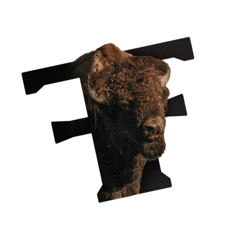Froning Farms Sticker