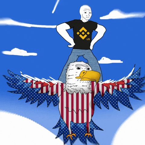 Usa Wojak GIF by Binance.US